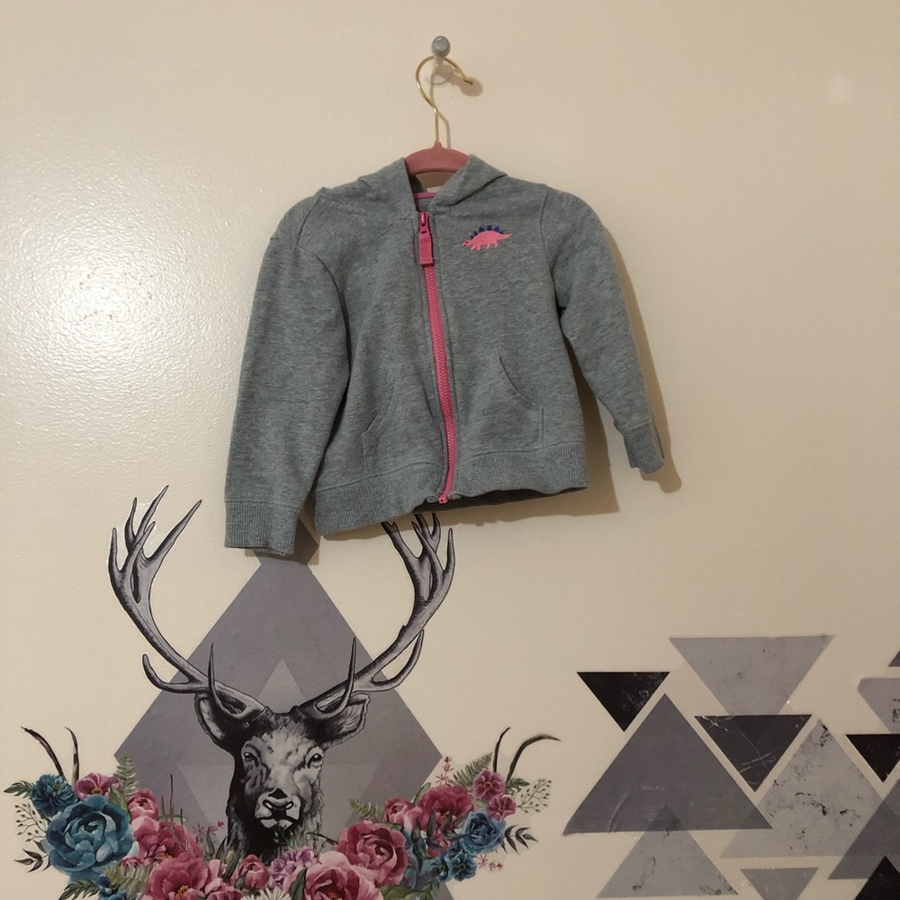 Carters | Gray Dinosaur Sweater Hoodie Sz 12m
